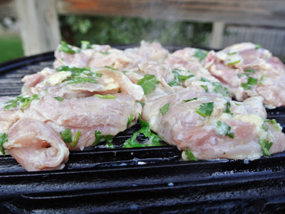 Margarita-Chicken-13