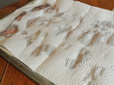 Tomato-Pie-Ingredients-3