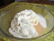 Vanilla-Frozen-Yogurt-2