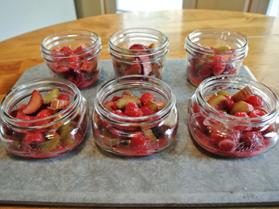 Rhubarb-Raspberry-Crisp-12