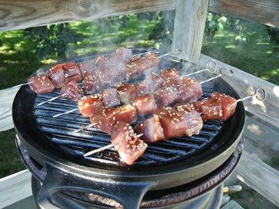 Soy-Honey-Pork-Kabobs-5