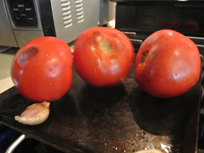 Fire-Roasted-Salsa-8