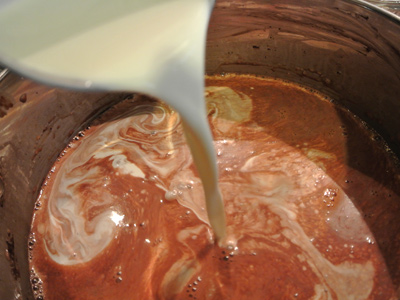 Dark-Chocolate-Ice-Cream-10