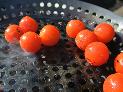 Veggie-Panini-10 - Copy