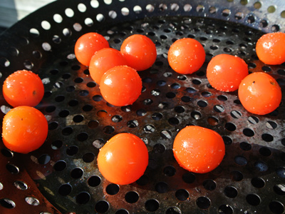 Veggie-Panini-9 - Copy