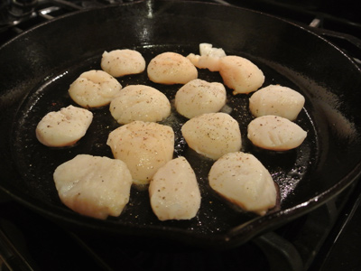 Scallops-4