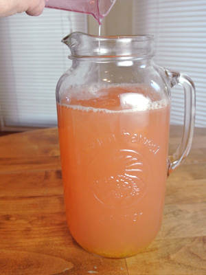 Grapefruit-Margarita-Sorbet-7