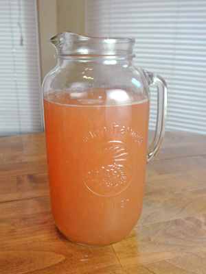 Grapefruit-Margarita-Sorbet-8