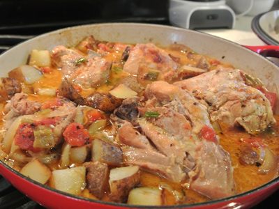 Latin-Salsa-Chicken-17