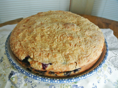 Blueberry-Cream-Cheese-Crumb-Cake-15