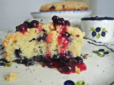 Blueberry-Cream-Cheese-Crumb-Cake-with-Blueberry-Sauce-1