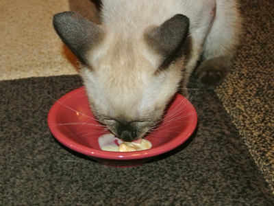 Z-eating-Praline-Pecan-Ice-Cream-1