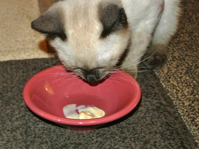 Z-eating-Praline-Pecan-Ice-Cream-2