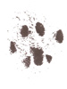 Z-Paw-Print-3