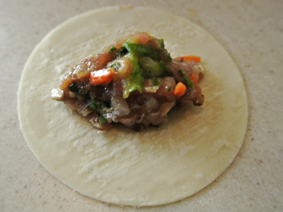 Pork-and-Veggie-Potstickers-6
