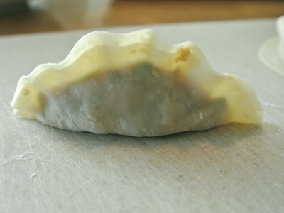 Pork-and-Veggie-Potstickers-8