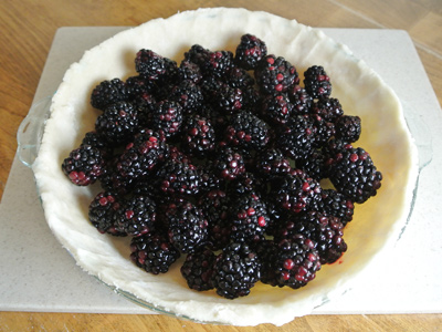 blackberry-pie-9